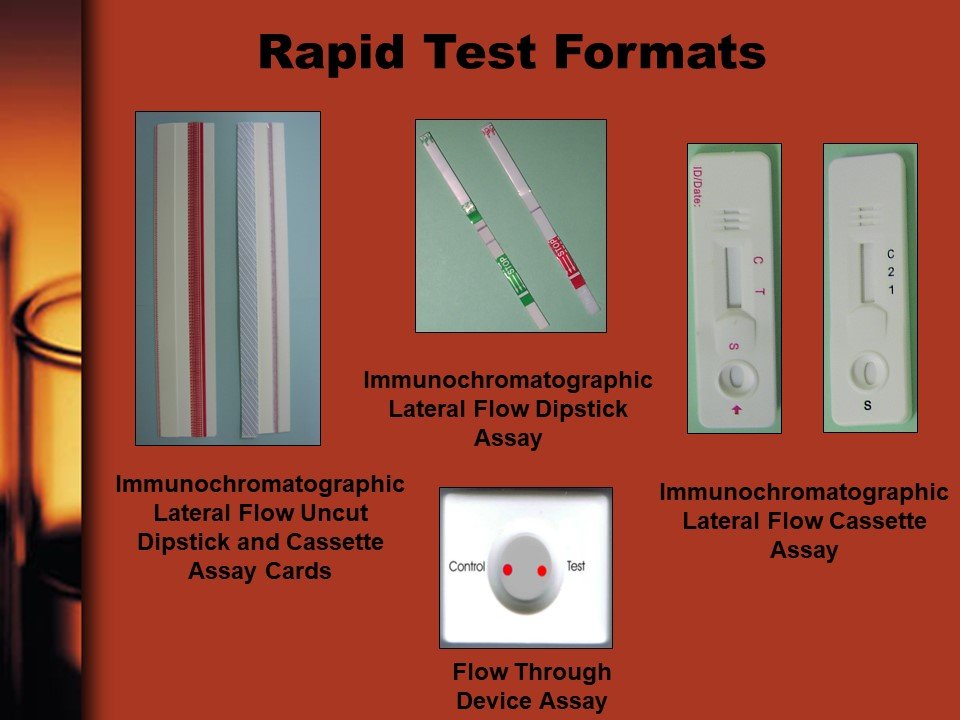 rapid-test